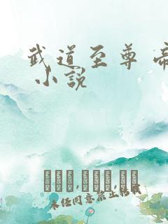 武道至尊 帝临 小说