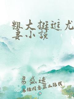 粗大挺进尤物娇妻小说