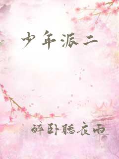 少年派二