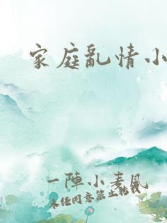 家庭乱情小说