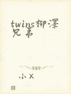 twins柳泽兄弟