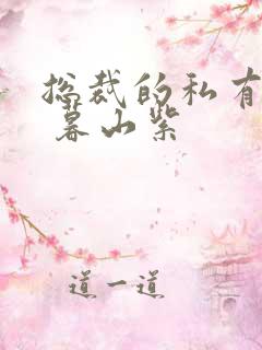 总裁的私有宝贝 暮山紫