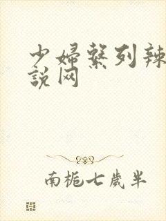 少妇系列辣文小说网