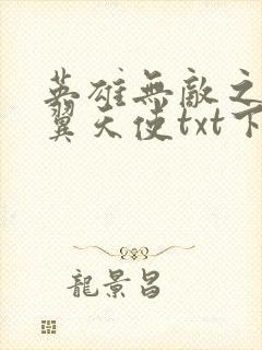 英雄无敌之十二翼天使txt下载