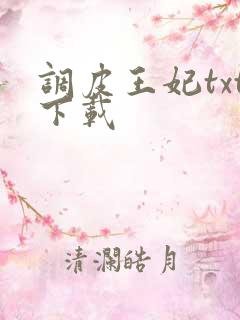 调皮王妃txt下载