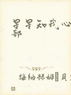 星星知我心第二部