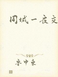 同城一夜交友
