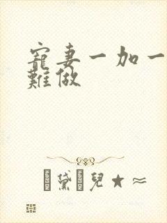 宠妻一加一老婆难做