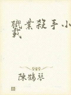 职业杀手小说下载