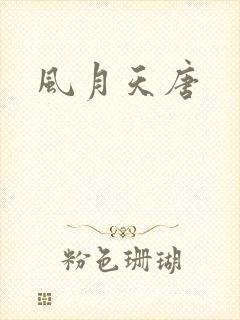 风月天唐