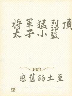 将军猛烈顶弄h太子小蓝