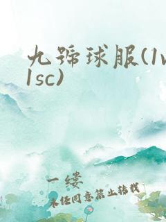 九号球服(1v1sc)