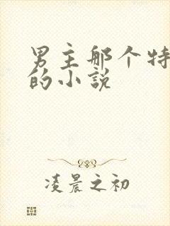 男主那个特别大的小说