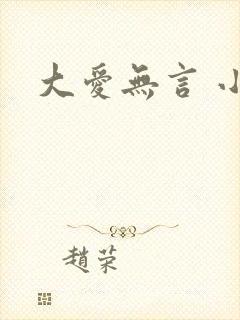 大爱无言 小说