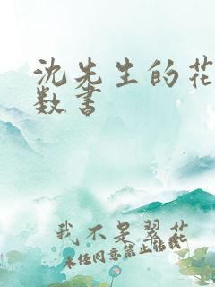 沈先生的花式调数书