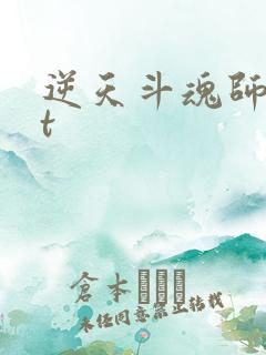 逆天斗魂师txt