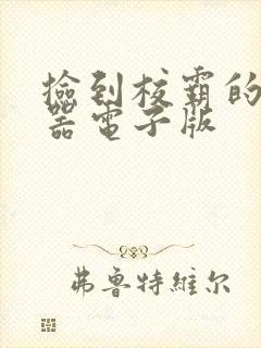 捡到校霸的遥控器电子版