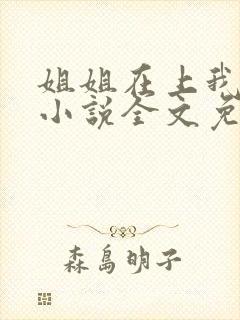 姐姐在上我在下小说全文免费阅读