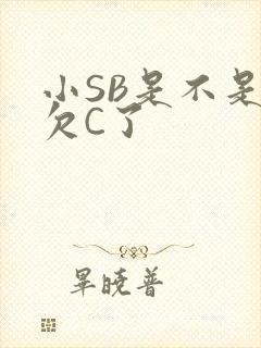 小SB是不是又欠C了