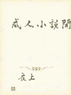 成人小说开放版