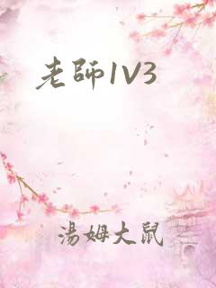 老师1V3