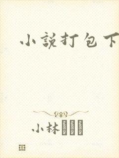小说打包下载