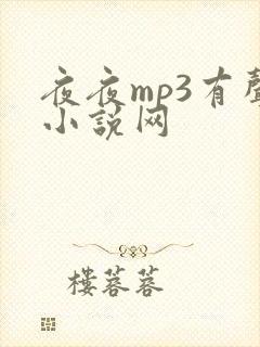 夜夜mp3有声小说网