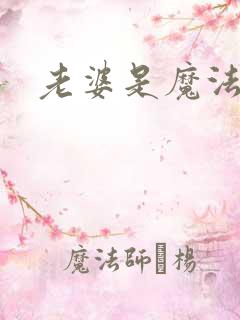 老婆是魔法少女