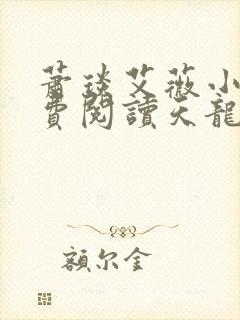 萧琰艾薇小说免费阅读天龙殿