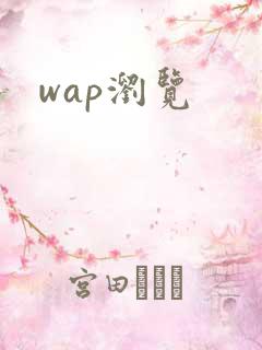 wap浏览