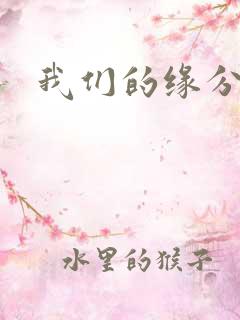 我们的缘分小说