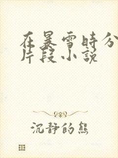 在暴雪时分高能片段小说