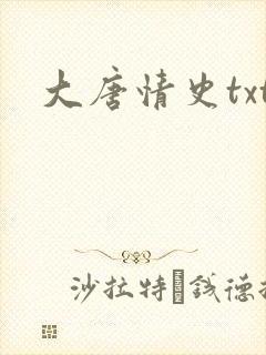 大唐情史txt