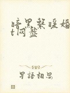 暗黑系暖婚txt网盘