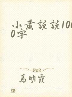 小黄说说1000字