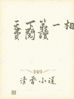 天下第一相书免费阅读