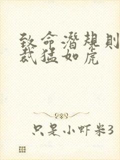 致命潜规则 总裁猛如虎