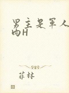 男主是军人的肉肉H