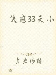 失恋33天小说