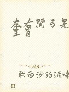 左右开弓是什么生肖