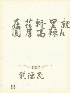 在花轿里就开始圆房高辣h