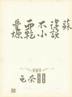 爱而不得苏路顾塬乾小说