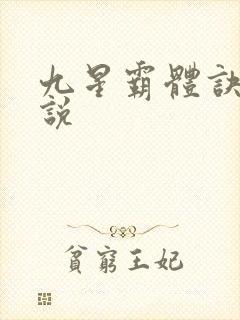 九星霸体诀 小说