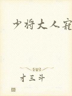 少将大人宠宠我