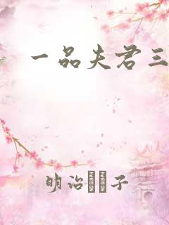 一品夫君三流妻