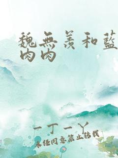 魏无羡和蓝忘机肉肉