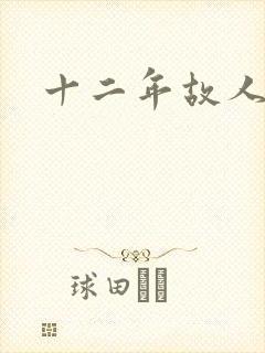 十二年故人戏