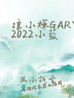 浪小辉GARY2022小蓝