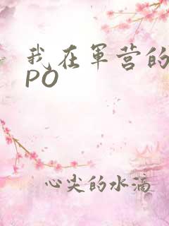 我在军营的日子PO