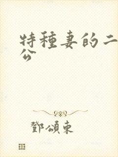 特种妻的二手老公